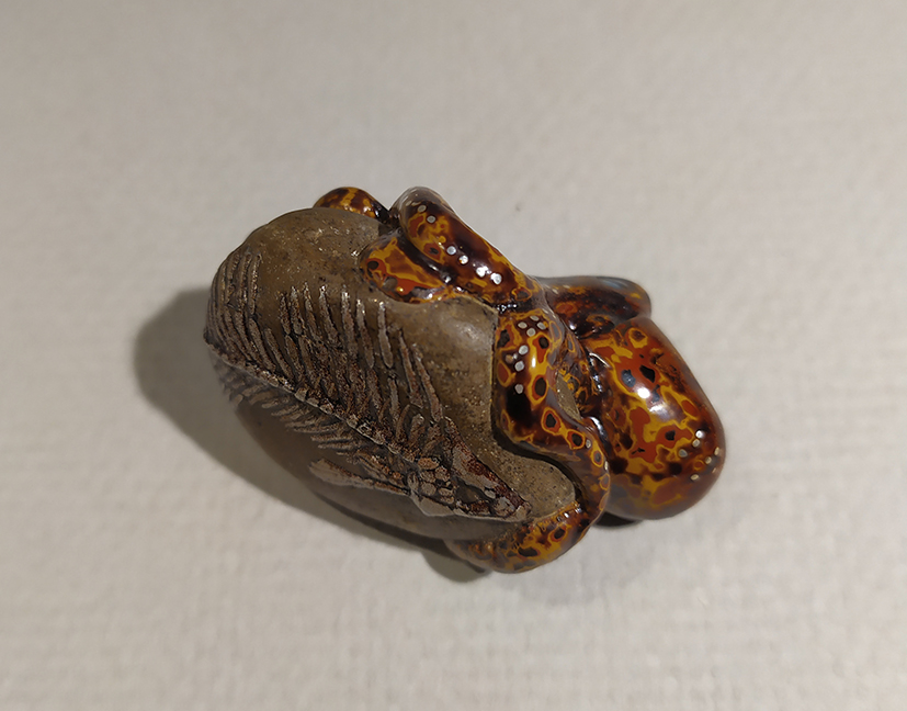 Octopus on a stone08